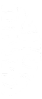 Right Brain
